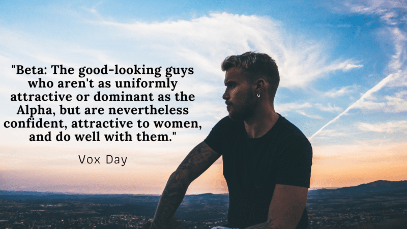 Beta The good looking guys who arent as uniformly attractive or dominant as the Alpha but are nevertheless confident attractive to women and do well with them..