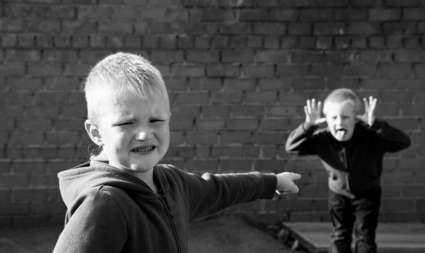 Brothers fighting, young kids squabble