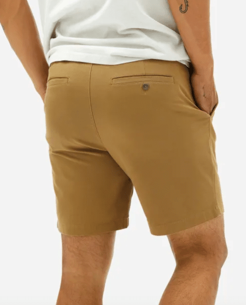 Everlane Air Chino Short