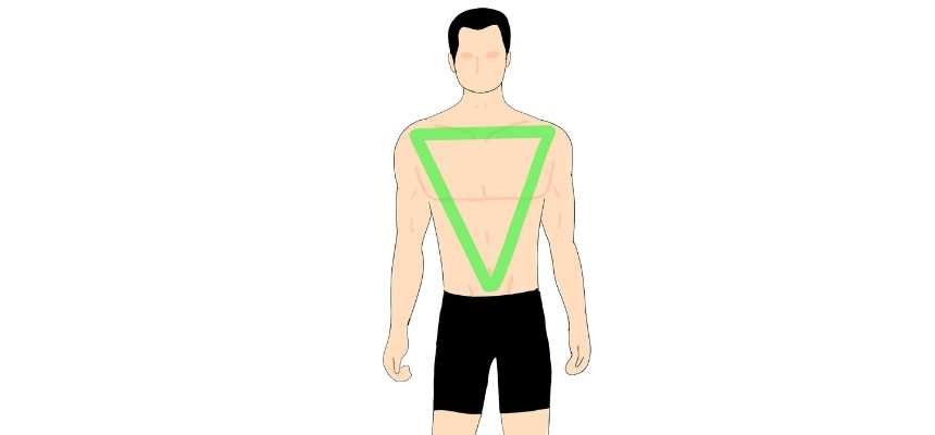 Inverted triangle male body type