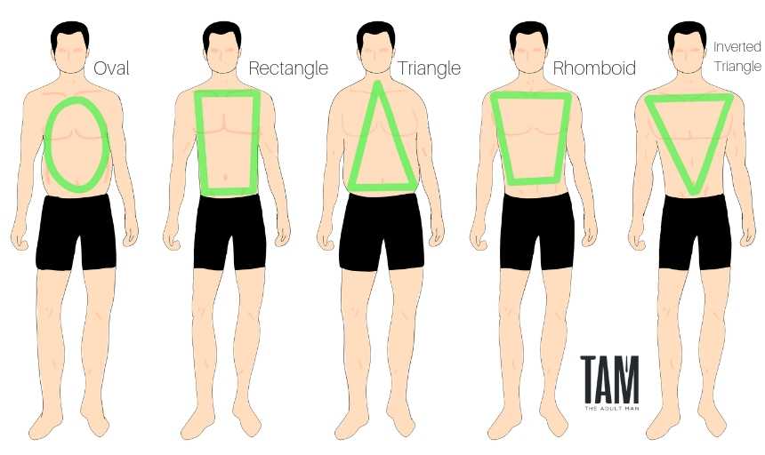 Men's Body Shapes