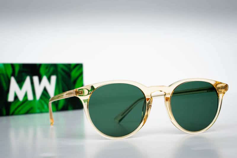 new depp sunglasses with green case on white background