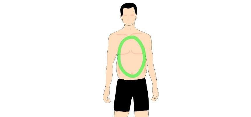 Oval male body type