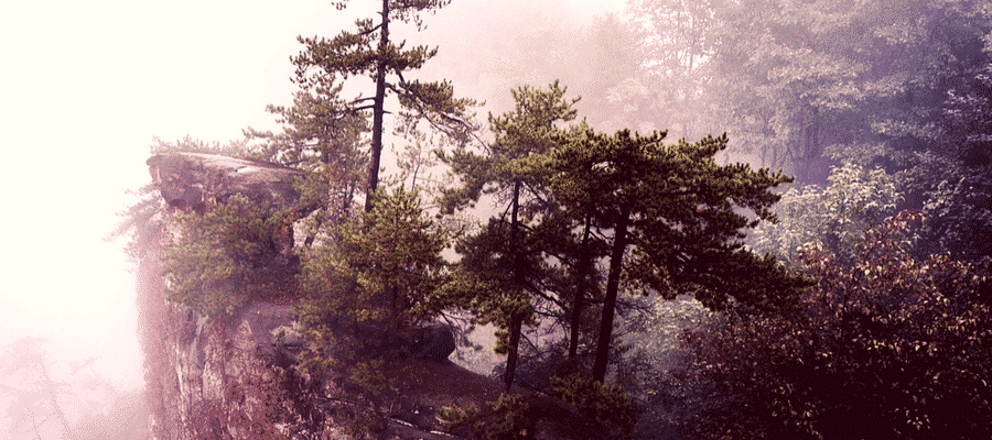 Zhangjiajie National Park, China misty