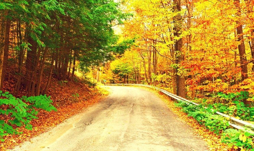 Road in autumn winding corner