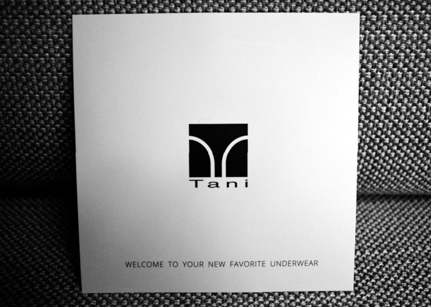 TANI Usa Insert Card Sitting on Felt Background