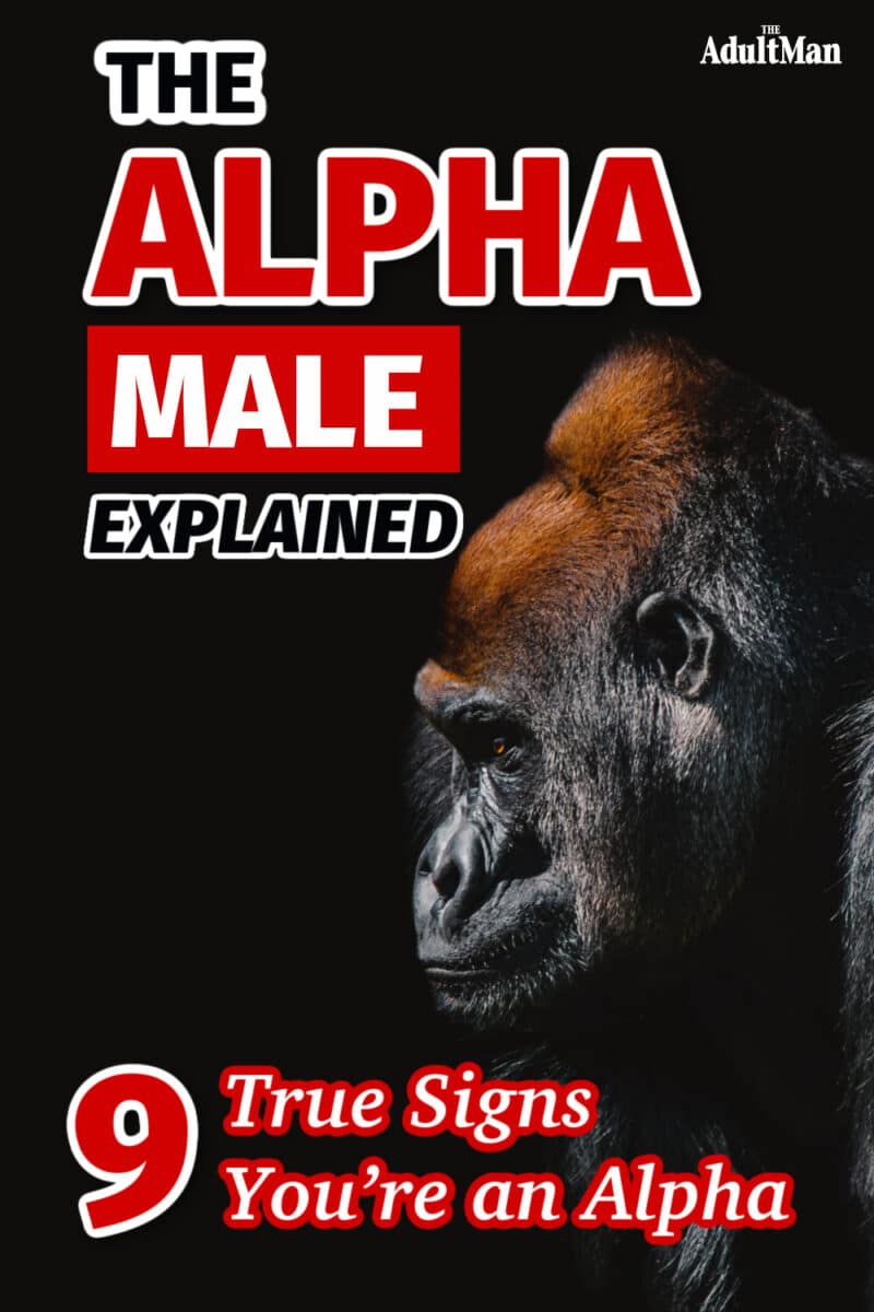 The Alpha Male Explained: 9 True Signs You’re an Alpha