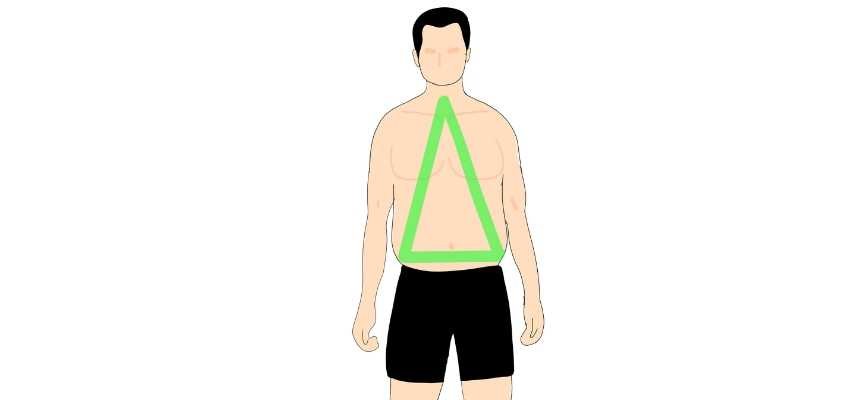 Triangle male body type