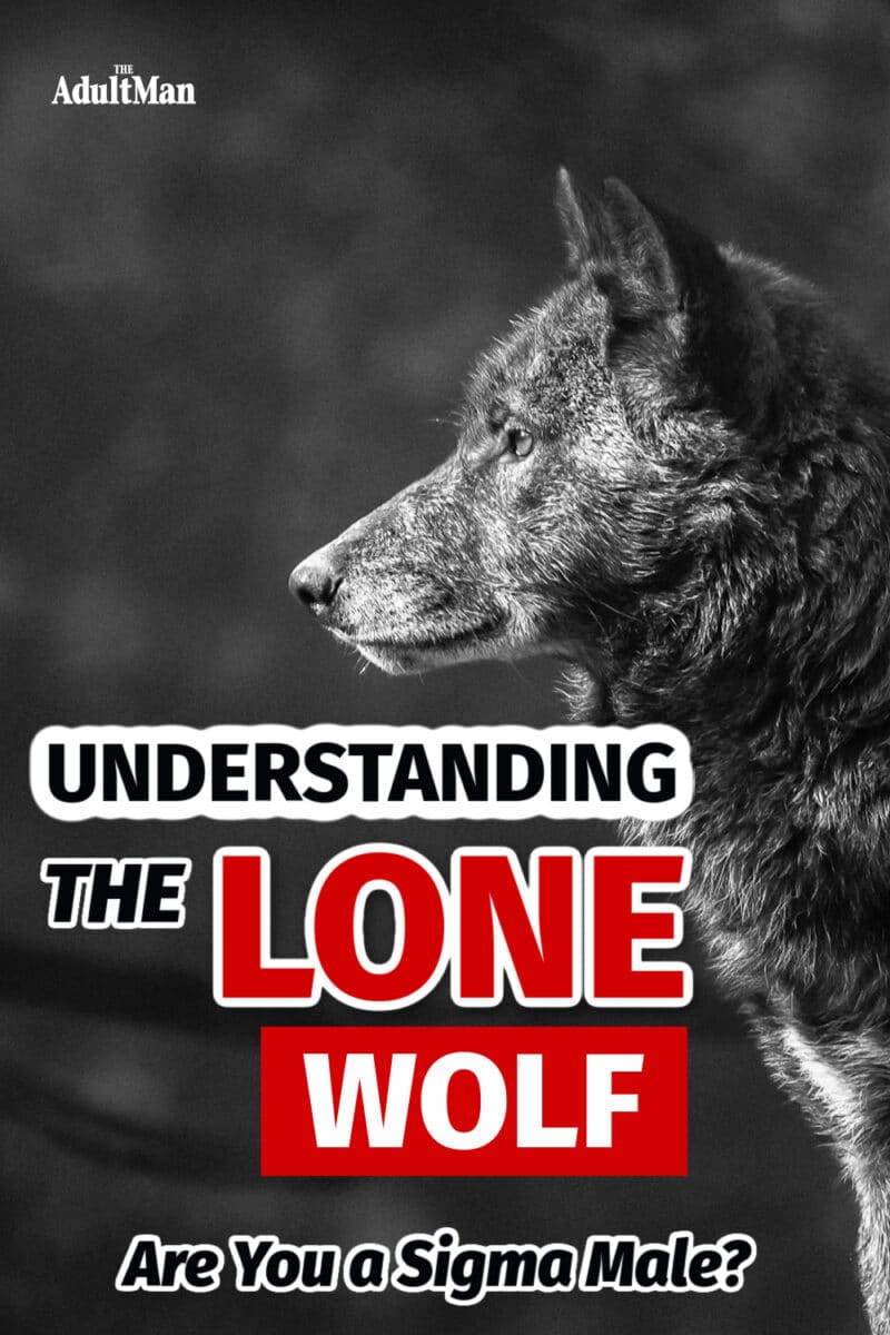 Understanding the Lone Wolf: Are You a Sigma Male?