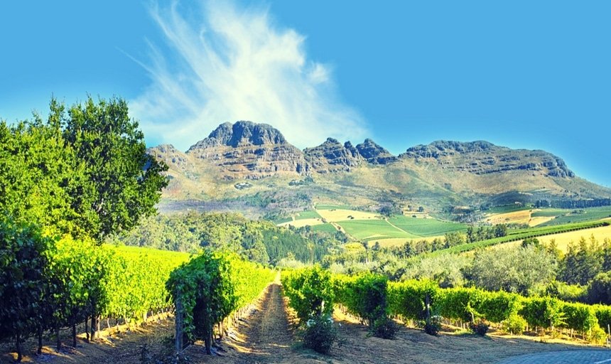 Wine fields near Stellenbosch, Western Cape, South Africa
